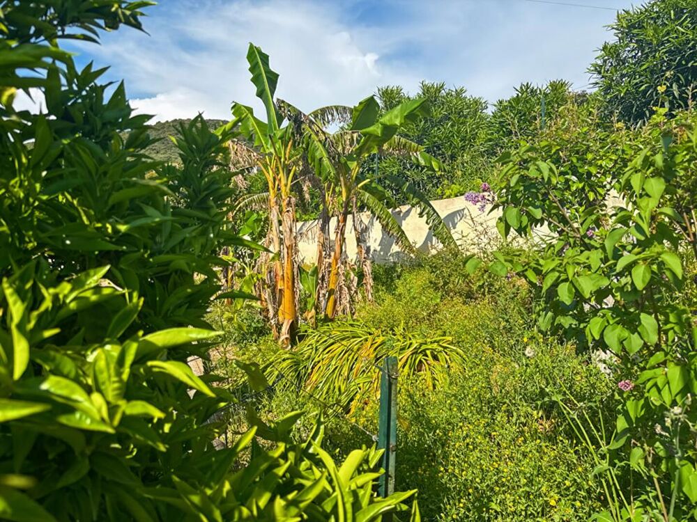 Maison Coggia 4 pièce(s) 120 m2