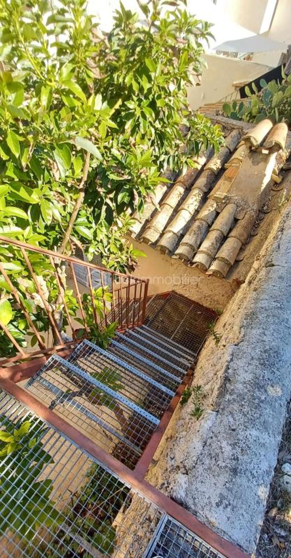 Vente Maison MAISON VIGNERONNE AVEC JARDIN Le pouget
