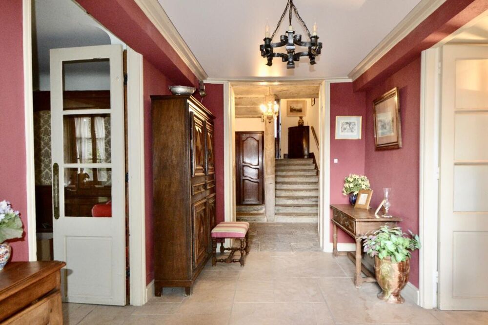 à vendre  Propriété/château Sathonay-Village (69580)