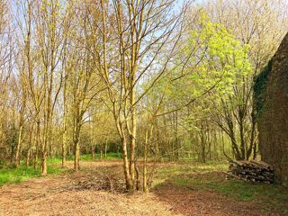  Remise / Grange à vendre 3 pièces 2018 m²