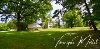 Propriété/château à vendre 15 + pièces 700 m²