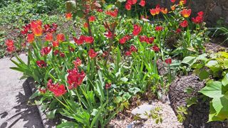  Maison  vendre 10 pices 238 m