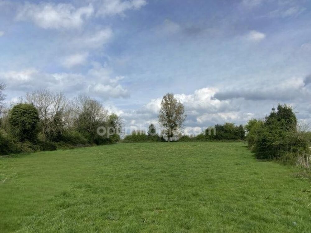 Vente Terrain GRAND TERRAIN DE 7 585 m� � 43 000 � FAI Eclimeux