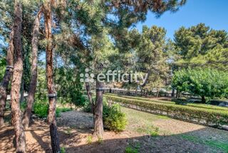  Appartement � vendre 3 pi�ces 60 m�