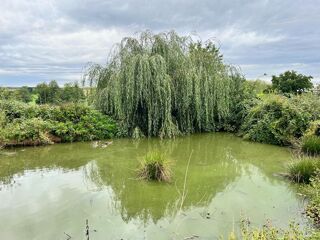  Maison � vendre 6 pi�ces 154 m�