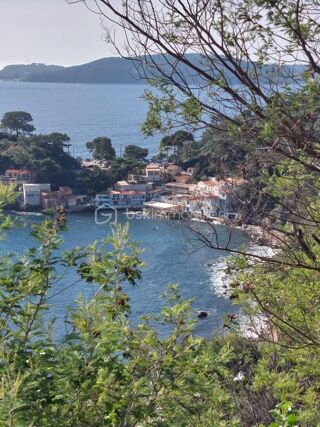  Appartement � vendre 3 pi�ces 101 m�