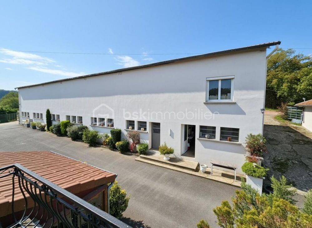  vendre  Proprit/chteau Parigny (42120)