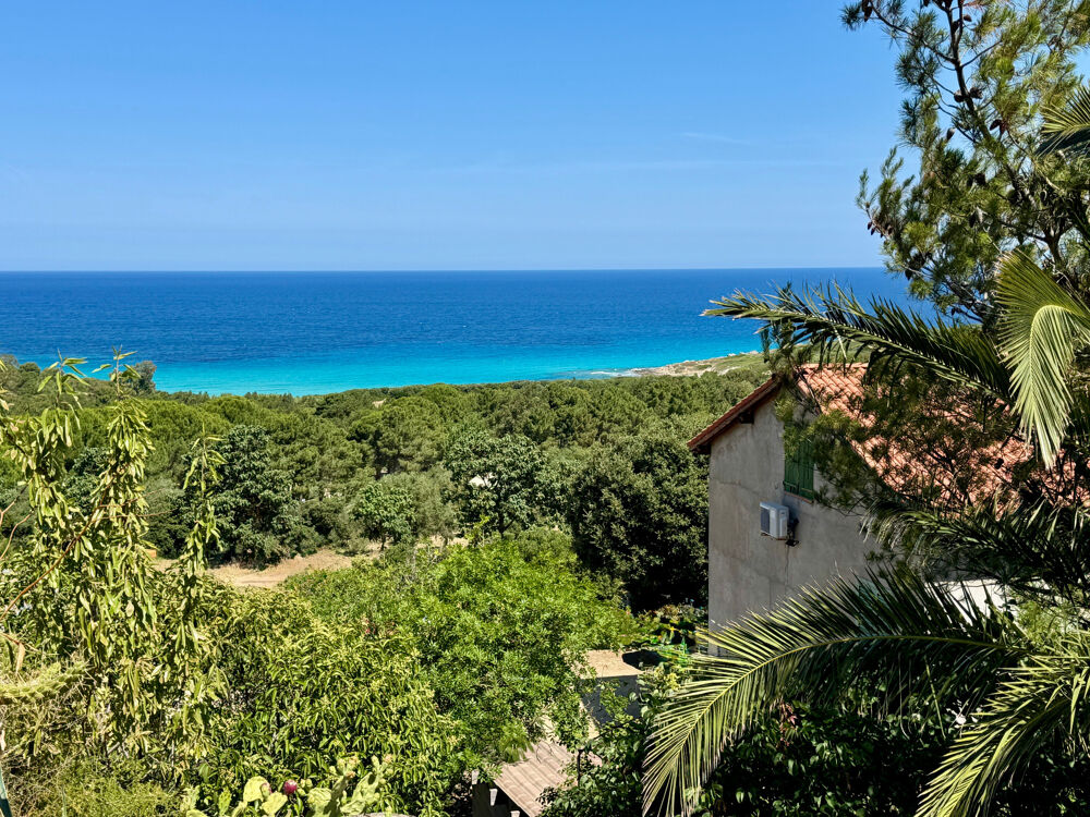 Vente Maison Propriété à rénover 8 pièces vue mer panoramique, 3 appartements et fort potentiel.? (20) Corbara