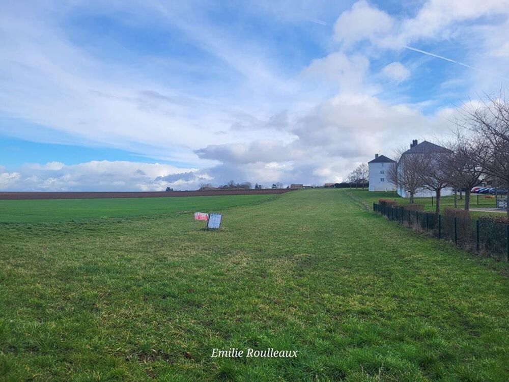 Vente Terrain Terrain Sermaises 738 m2 - Non Viabilisé Sermaises