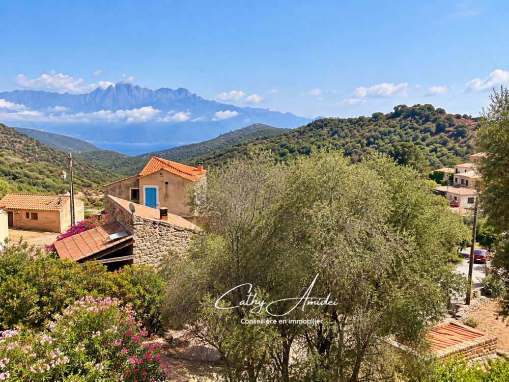 Vente Maison Osani (Corse) : A vendre, maison en pierre, avec deux appartements T3 indépendants, à 3Km de la plage Osani