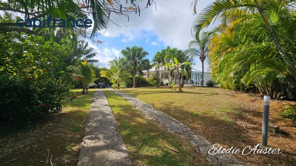 Villa T6 pièces Piscine et Grand jardin arboré BAIE MAHAULT (971)