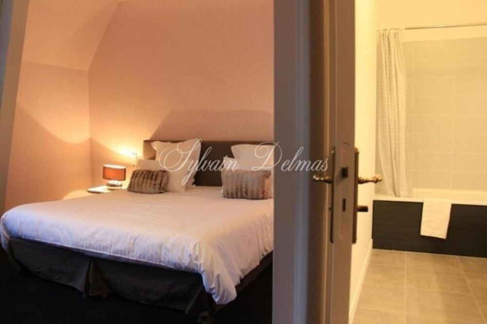 � vendre  Propri�t�/ch�teau Amboise (37400)