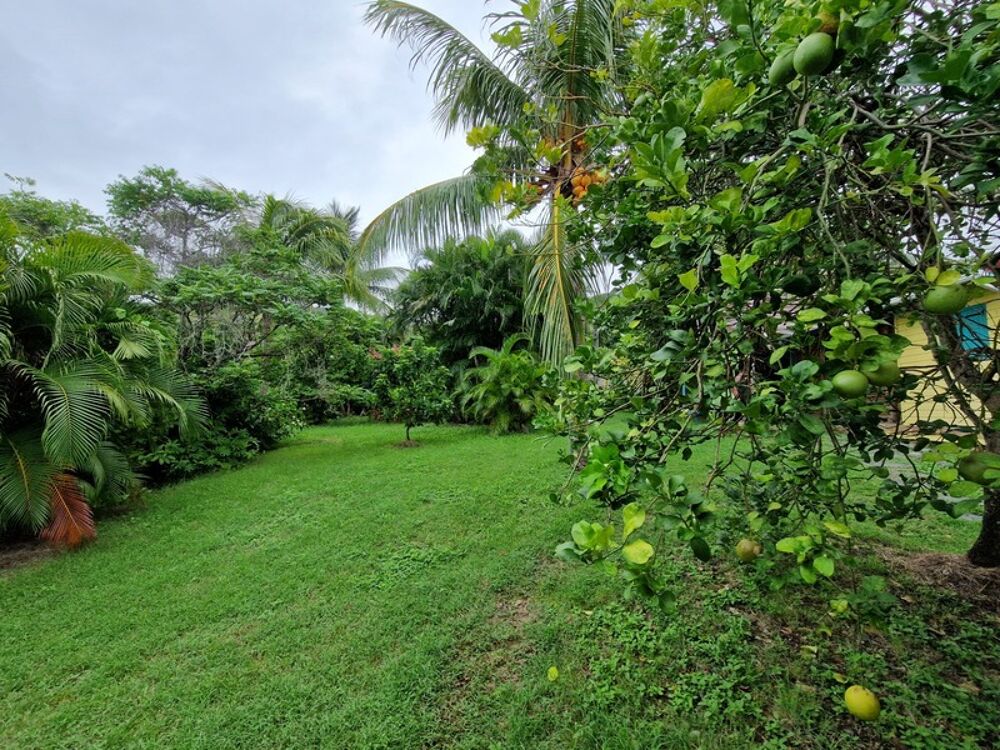 Vente Villa DESHAIES, Villa plage à pied, 2 bungalow, garage et piscine, sur 1 965 m² de terrain arboré Deshaies