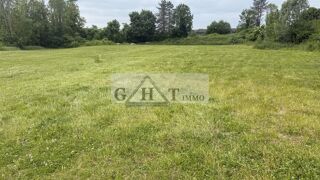  Terrain à vendre 20047 m²