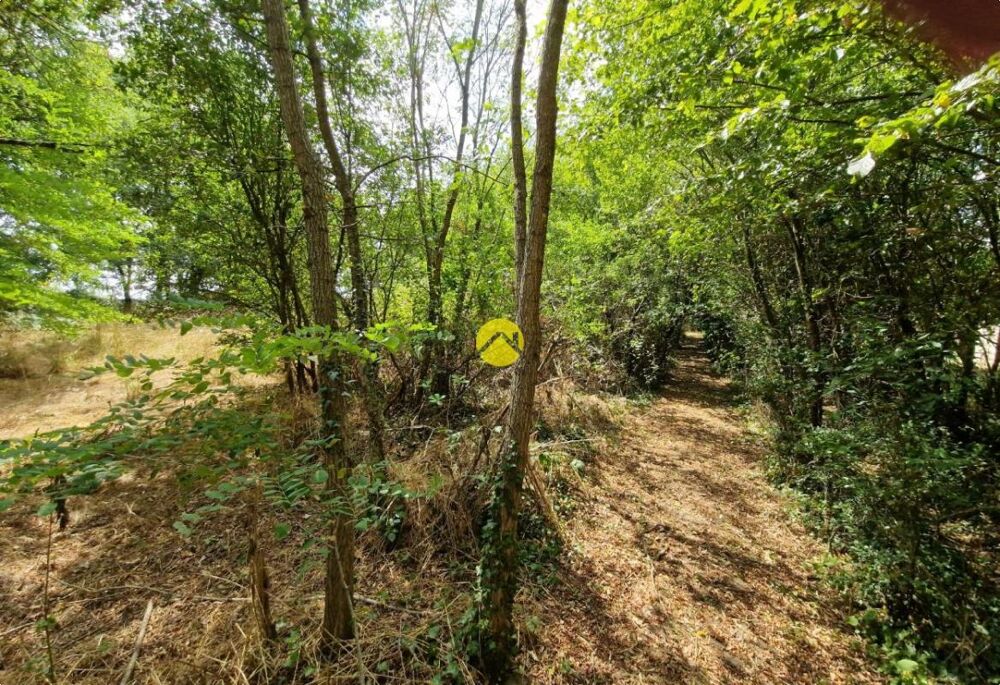 Vente Terrain Terrain constructible de 2505 m² La guerche sur l aubois