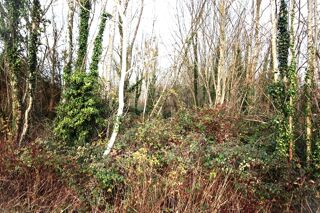  Terrain � vendre 4273 m�