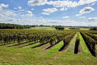  Terrain � vendre 353 m�