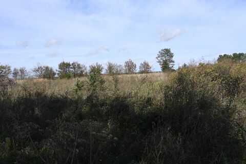 Ste Catherine de Fierbois - terrain de 8360 m² en zone commerciale, avec vue sur la RD 910 et proche de Ste Maure de Touraine 86400 37800 Sainte catherine de fierbois