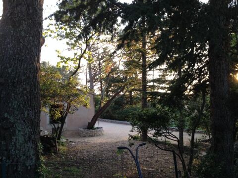  Appartement  louer 1 pice 35 m