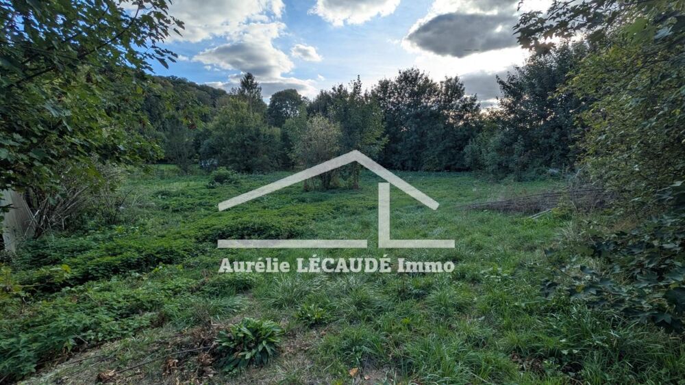 Vente Terrain CLERES - TERRAIN 3000m² AVEC BATIMENTS Cleres
