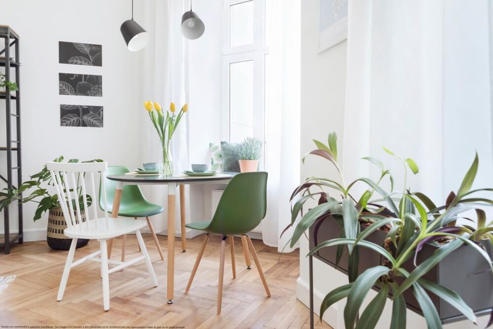 Vente Appartement GRAND T2 LUMINEUX EN ETAGE Bordeaux