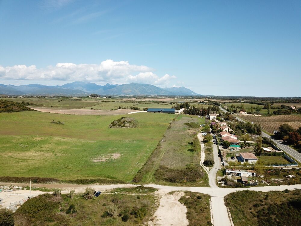 Vente Terrain Terrain à vendre de 1 038,00 m² ALERIA (20) Aleria