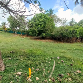  Terrain � vendre 1043 m�