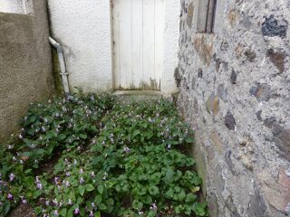  Maison à vendre 5 pièces 80 m²
