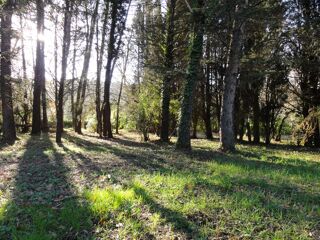  Terrain à vendre 5620 m²