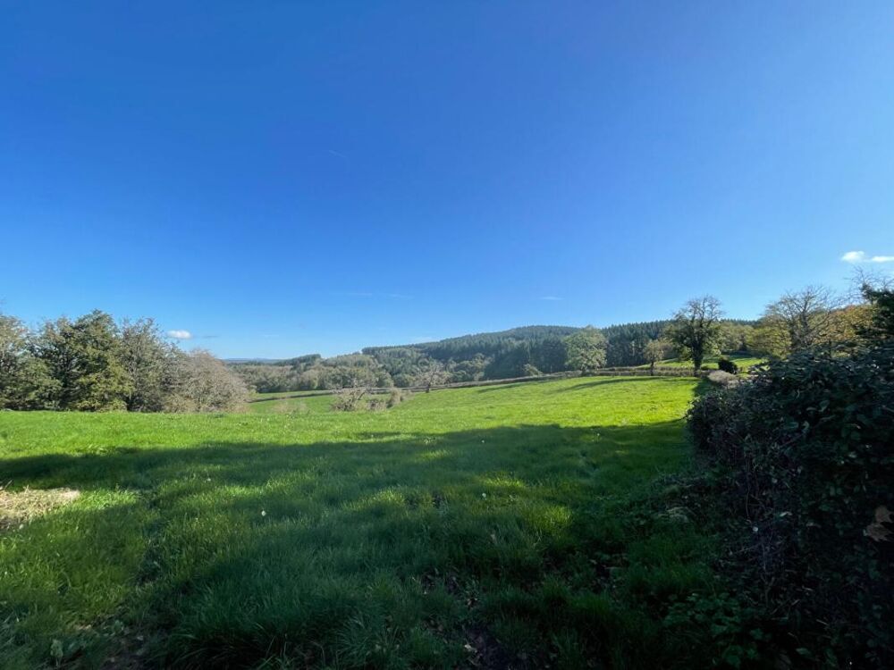 à vendre  Maison Saint-Martin-de-Salencey (71220)