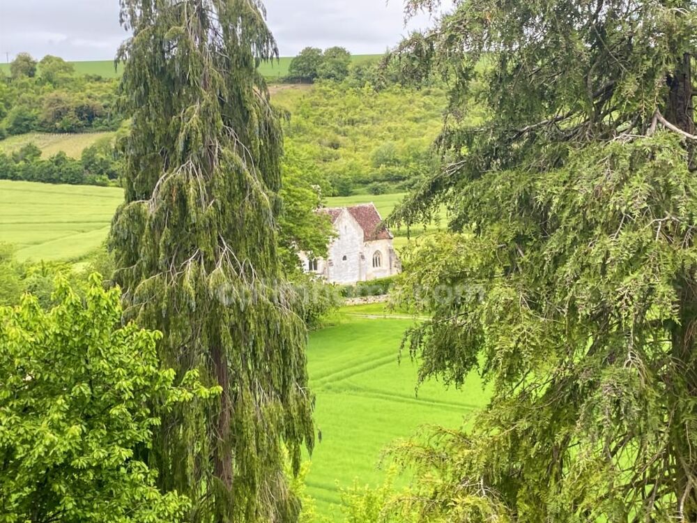 Vente Maison Belle longère en pierres ancien Chai à Champagne Serval
