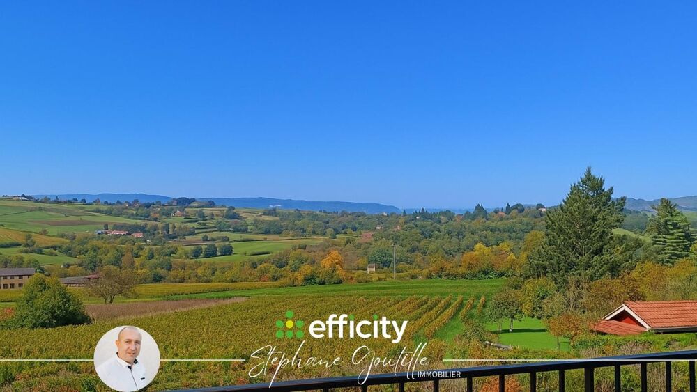 Vente Villa Villa Val d oingt