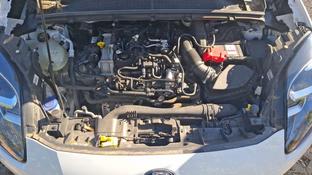 Puma 1.0 Ecoboost 125 Flexifuel mHEV Titanium Design 2023 occasion 67200 Strasbourg