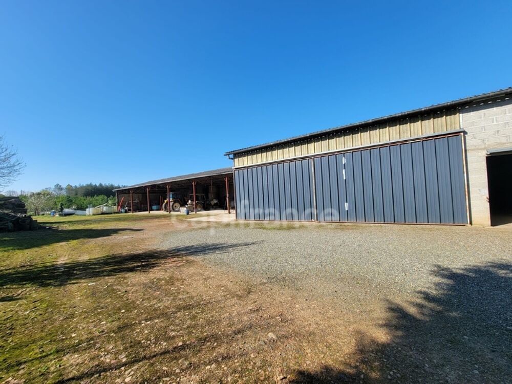 Vente Maison Corps de ferme – 1 280 m² de hangars + maison DPE B – Saint-Sever (40) Saint sever