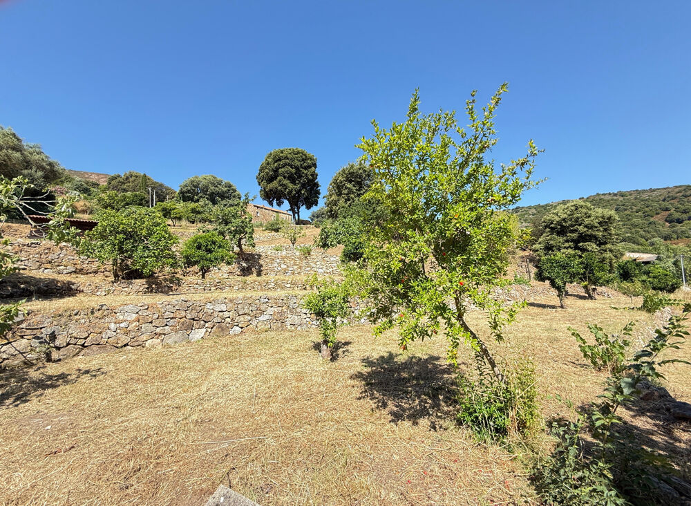 Vente Terrain CORSE (20) commune d'ALATA : A vendre magnifique terrain à bâtir, viabilisé Alata