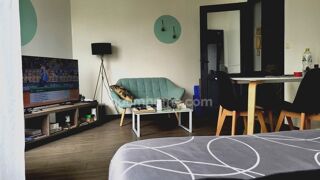  Appartement  vendre 1 pice 28 m