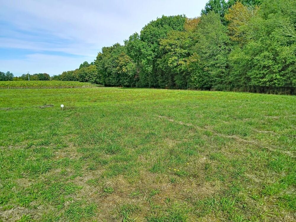 Vente Terrain TERRAIN A BATIR DE 1 222 M² – CALME, NATURE ET PROXIMITÉ DE PONS 39000€ Mazerolles