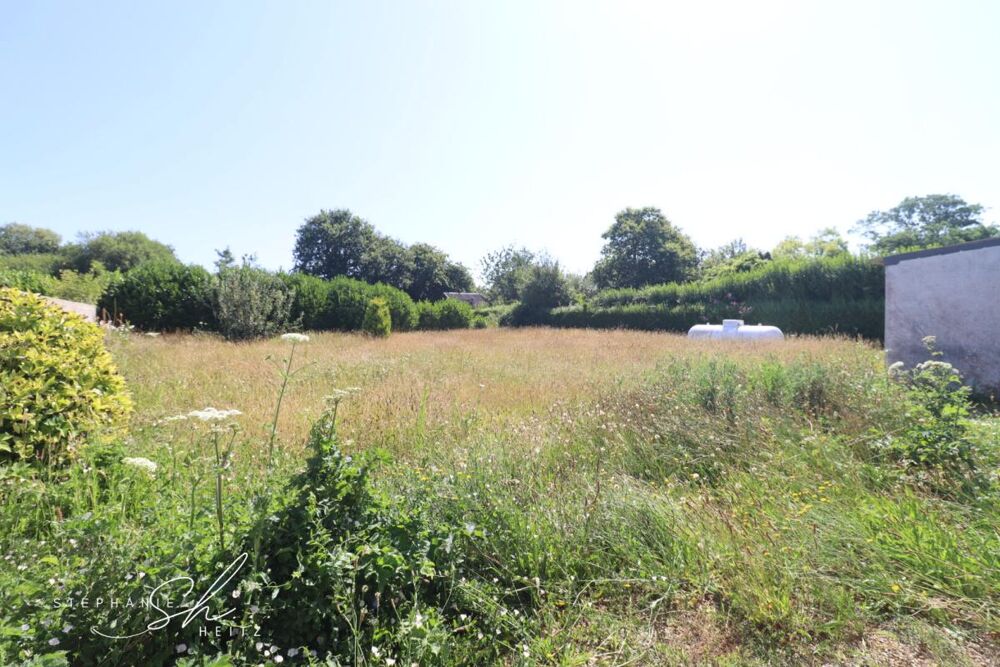 Maison Plougasnou 5 pièce(s) 84 m2