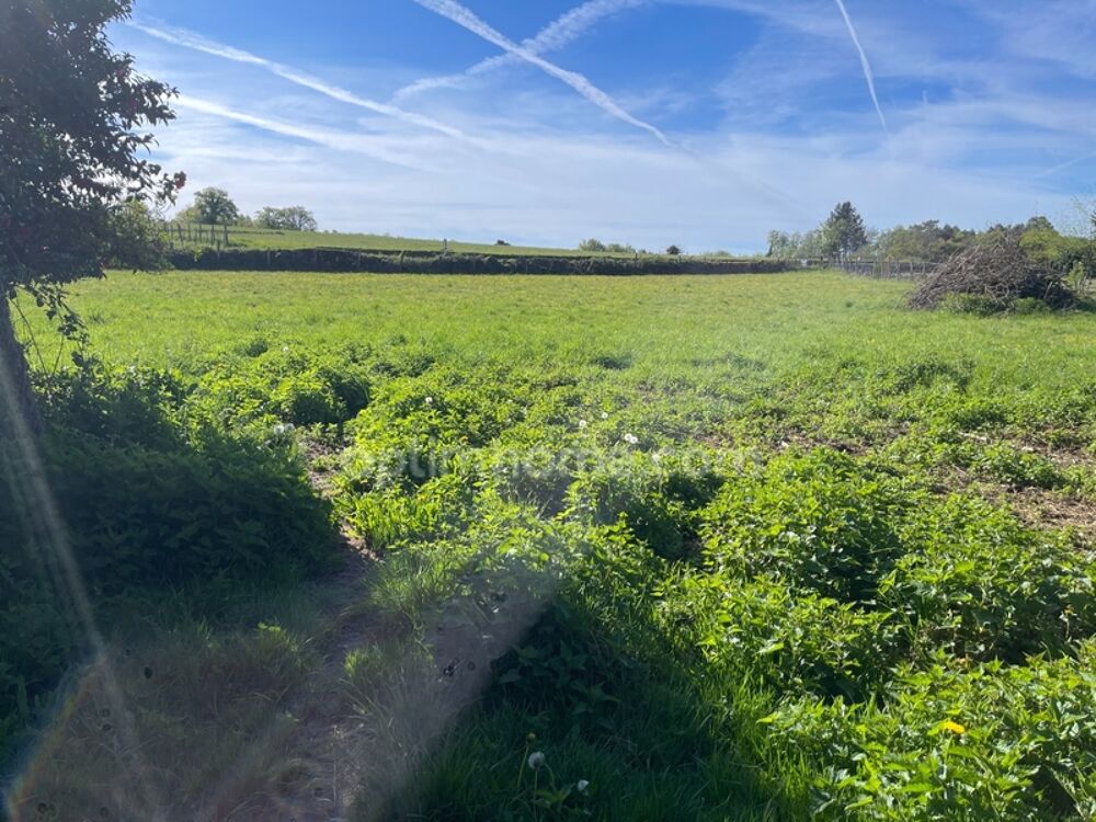 Maison-2 granges et 5000m2 de terrain