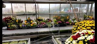  Maison  vendre 7 pices 160 m