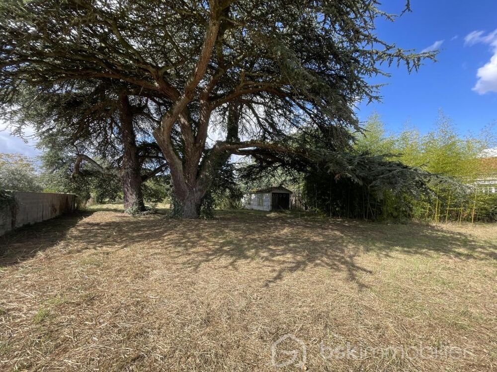 Vente Terrain Terrain 1848m² Saint sulpice la pointe