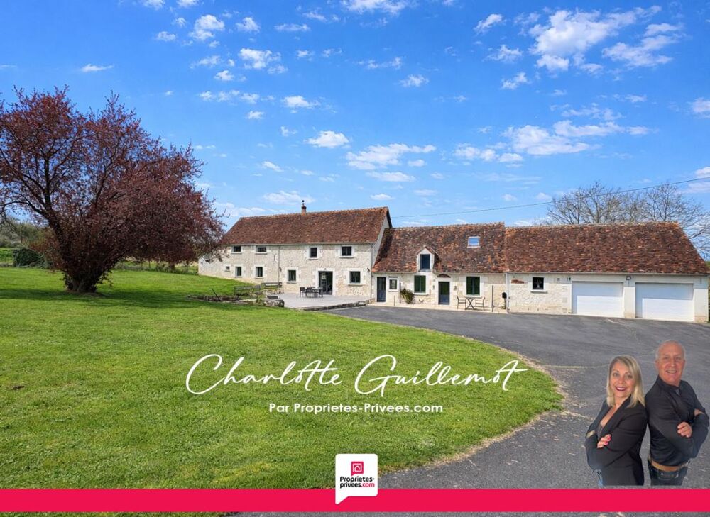 Vente Maison Maison Chatillon Sur Indre 9 pièce(s) 255 m2 Chatillon sur indre