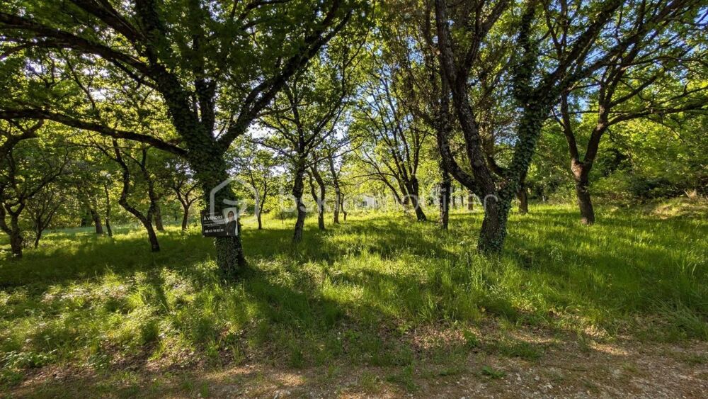 Vente Terrain Terrain arboré de 1 200 m² – Environnement calme et préservé – Drôme provençale Dieulefit
