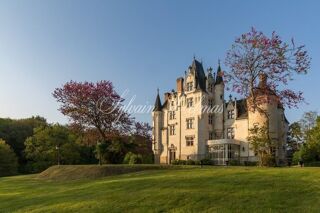  Propriété/château à vendre 15 + pièces 2000 m²
