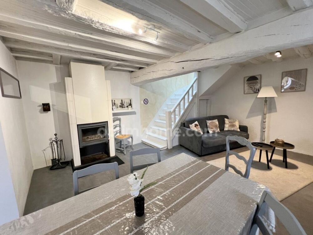 Vente Maison Charmante maison solognote au cœur de Romorantin-Lanthenay, capitale de la Sologne Romorantin lanthenay