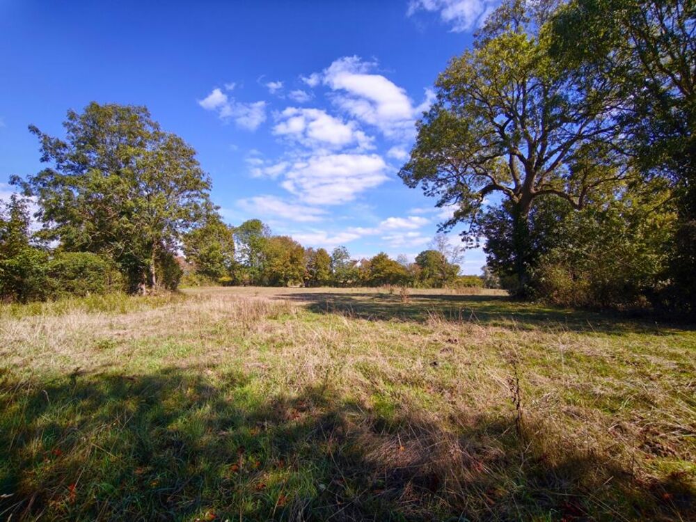 Vente Maison Maison de caractère, dépendances et 7 100 m² de terrain Gournay en bray