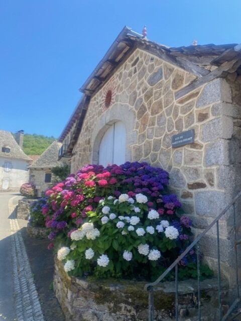 Image Annonce