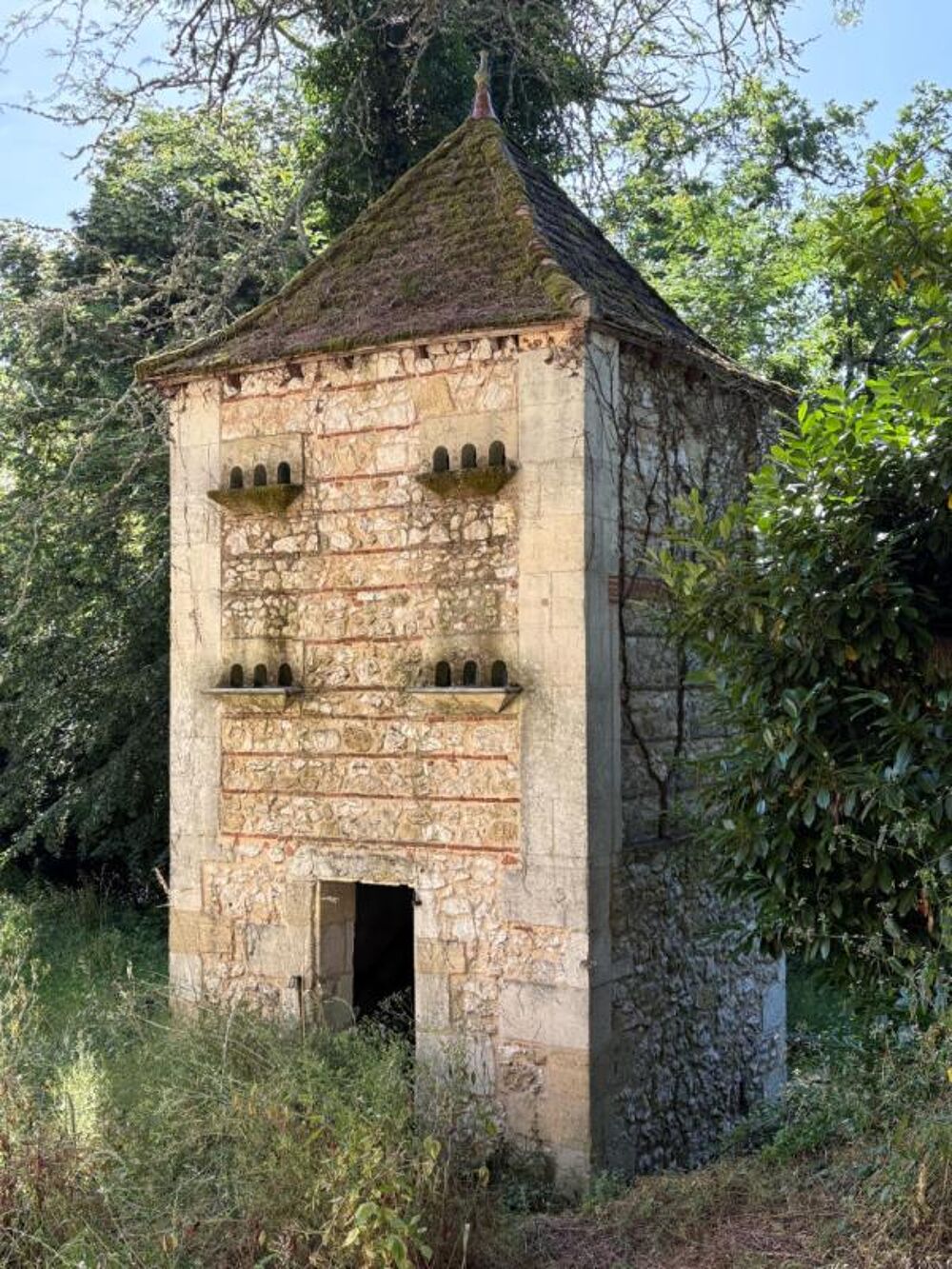 SUPERBE CHATEAU D'EXCEPTION À RÉNOVER ? VUE PANORAMIQUE SUR LA DORDOGNE