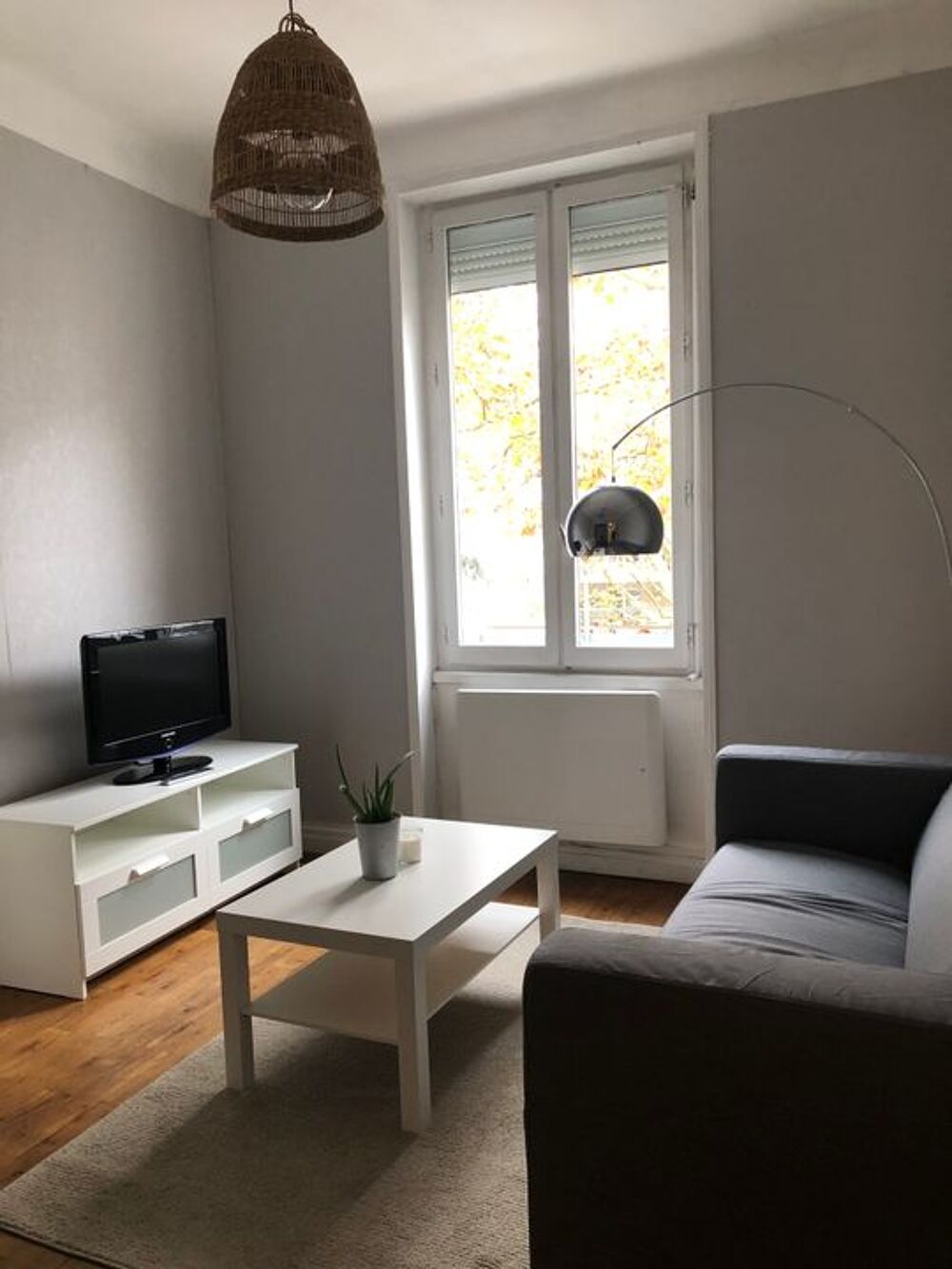 Location Appartement Appartement de 46m2 à louer sur Lyon 08 Lyon 8