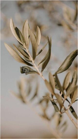  Terrain  vendre 310 m